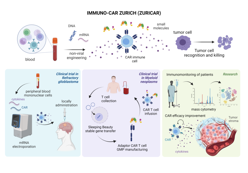 IMMUNO CAR ZURICH Precision Immune Oncology By Engineering Immune