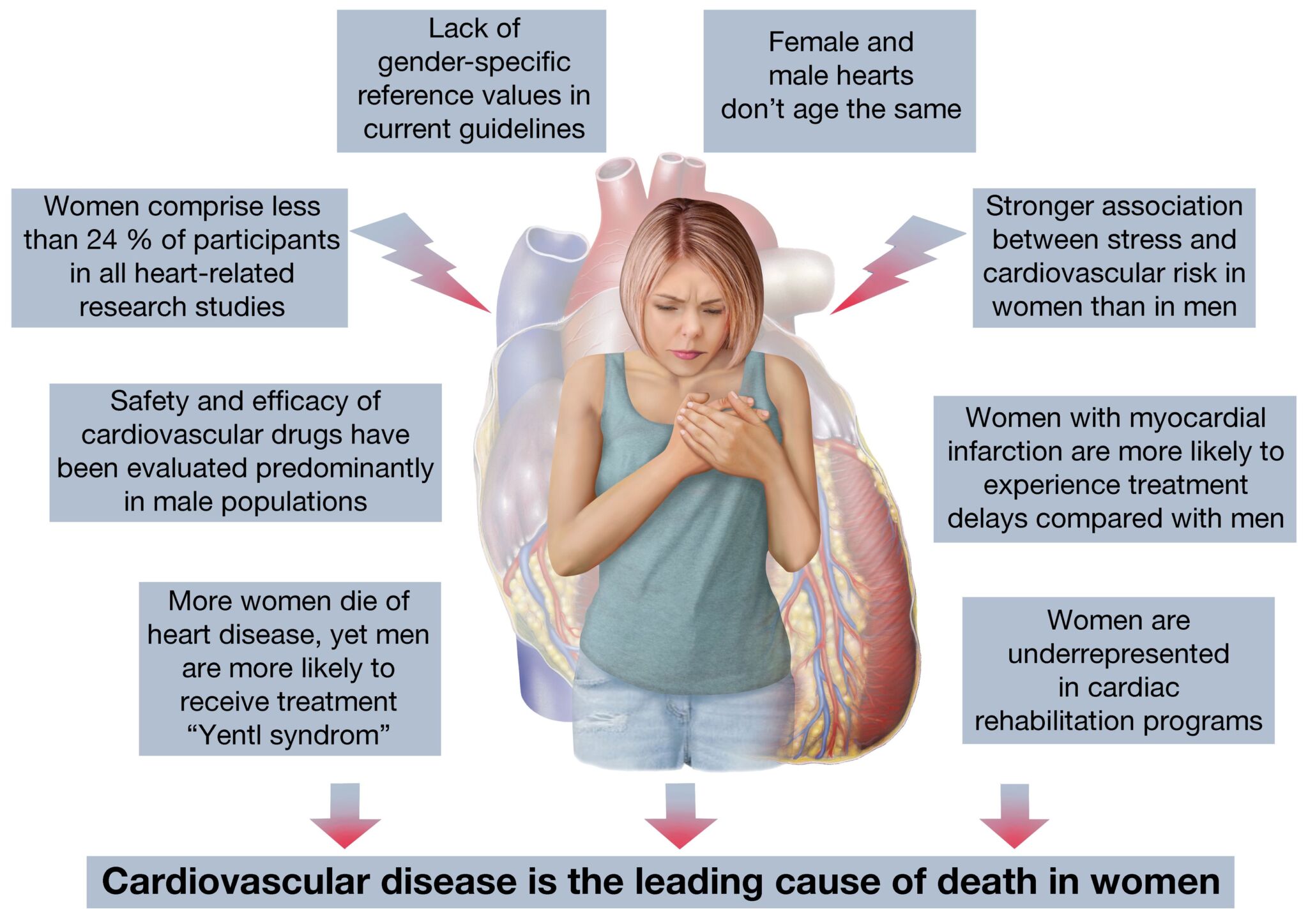 Cardiovascular Gender Medicine At The Department Of Nuclear Medicine Usz 7972
