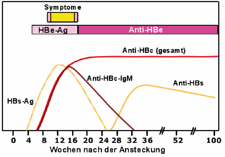 Hepatitis Diagnostik – Universitätsspital Zürich