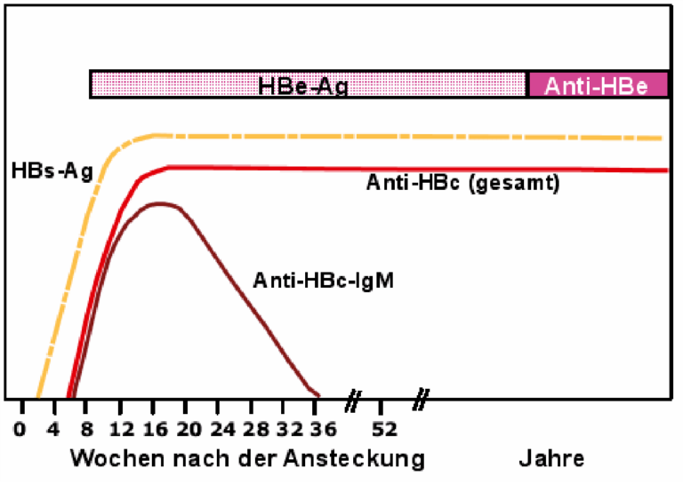 Hepatitis Diagnostik – Universitätsspital Zürich