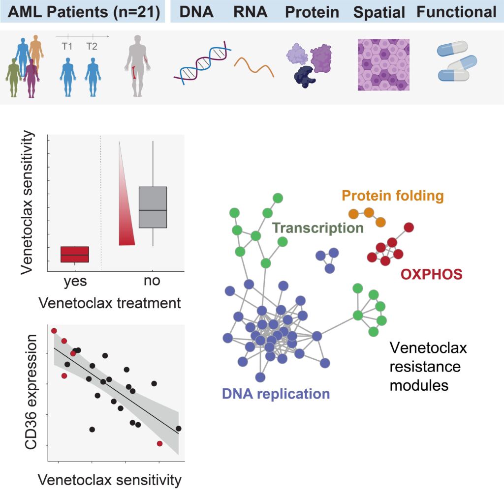 Integrative Analyse multimodaler Profile von 21 AML-Patienten